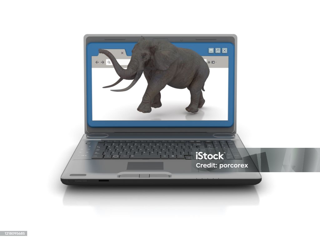 Elphant Computer Computer Laptop With Web Browser And Elephant 3d Rendering Stock Photo ...