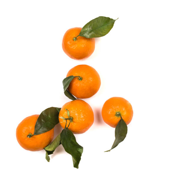istock Christmas composition. frame with tangerines, fir branches, cinnamon sticks, anise star. Flat lay, top view 1218104505