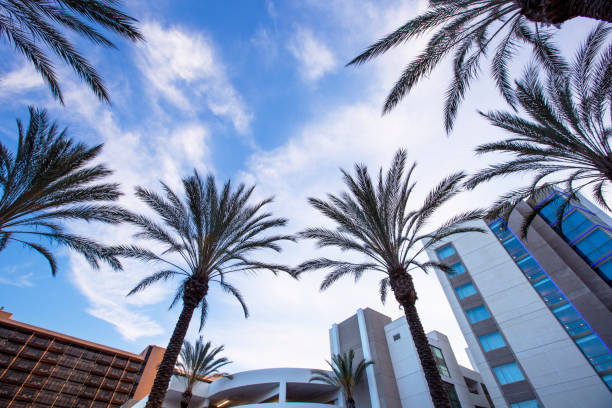 istock Anaheim, California 1218111757