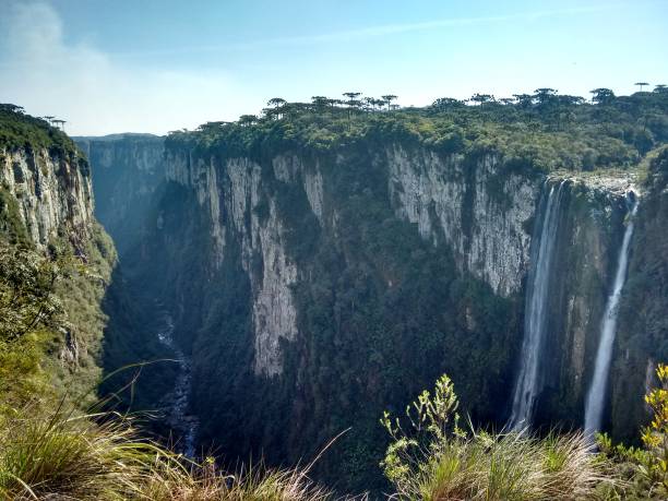Waterfall - Itaimbezinho Canyon - Serra Aparados National Park - Canyons Aparados da Serra National Park is in south Brazil, near the Atlantic coast. It’s known for the deep, dramatic Fortaleza and Itaimbezinho Canyon, two of many chasms that cut through the park’s plateaus. Footpaths, like the Rio do Boi trail, pass waterfalls and make a steep, rocky descent to the canyon floor. The lush landscape is home to howler monkeys, ocelots, parrots and other rare wildlife. The town Cambará do Sul is nearby. canyon itaimbezinho rio grande do sul santa catarina southern brazil stock pictures, royalty-free photos & images