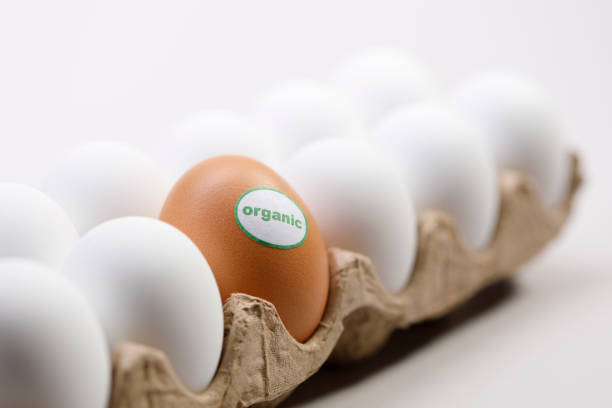 свежее органическое фермерское яйцо - dozen eggs food eggs horizontal стоковые фото и изображения