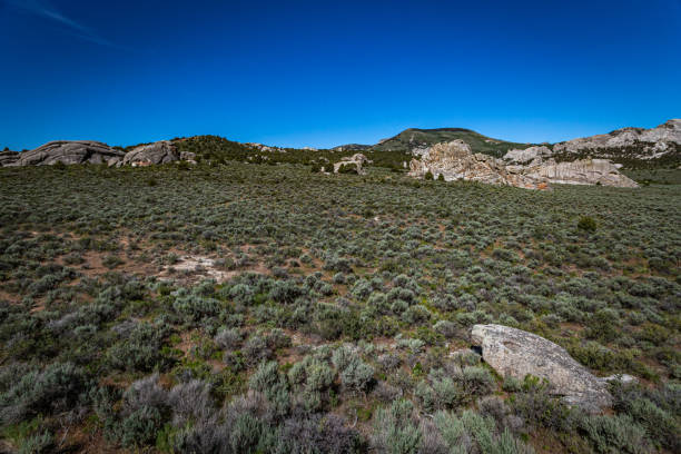 city of rocks, idaho - idaho rock climbing city of rocks mountain imagens e fotografias de stock