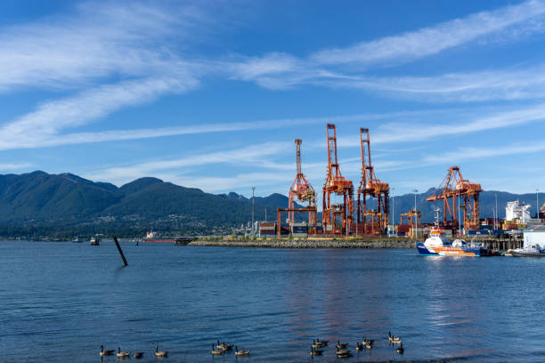 istock Tower cranes over stanley park 1218118391