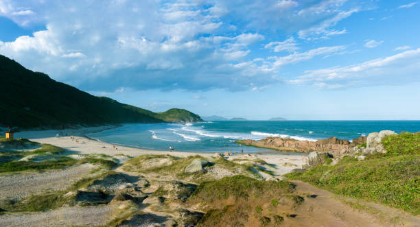 istock Panoramic view of Prainha Beach 1218120698
