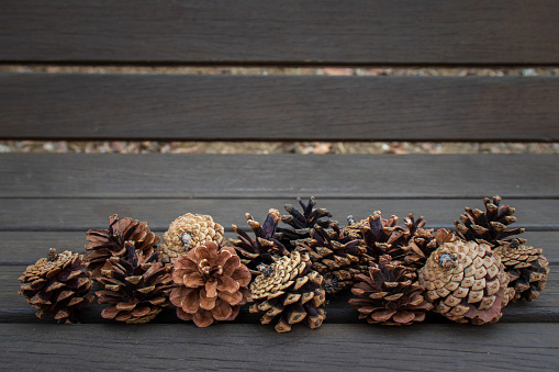 Pine cones on dark wooden background.