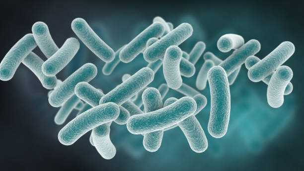 bacterias en forma de varilla. renderizado 3d - clostridium fotografías e imágenes de stock