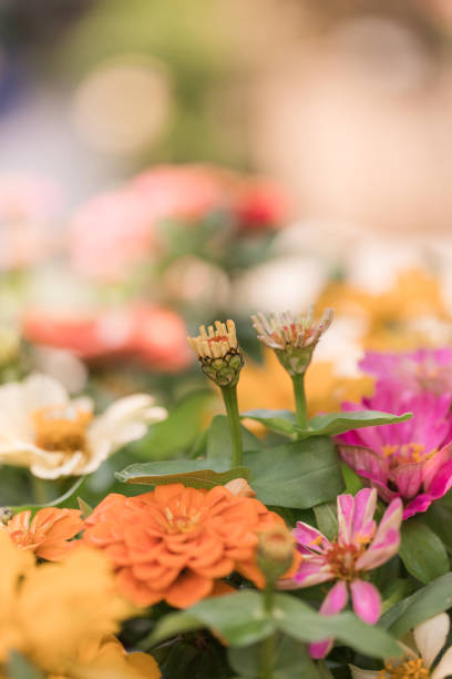 istock Colorful Spring Wild Flowers 1218131243