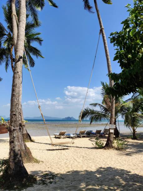 istock Swing on a paradise beach in the Phang Gna baire 1218132583