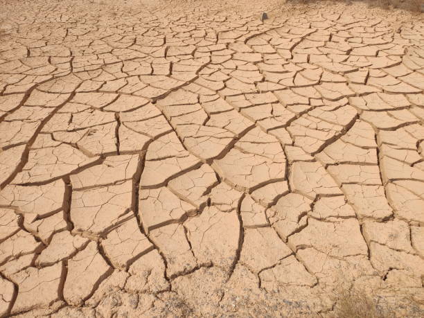 istock Dried cracked soi during hot season 1218133495