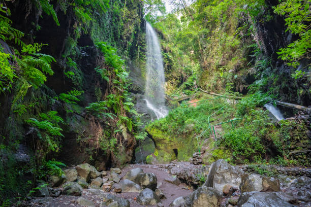 istock Waterfall at Los Tilos, La Palma, Canary Islands (Spain) 1218142080