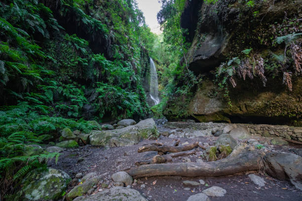 istock Waterfall at Los Tilos, La Palma, Canary Islands (Spain) 1218142086