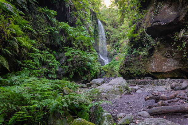 istock Waterfall at Los Tilos, La Palma, Canary Islands (Spain) 1218142090