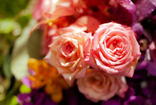 Bouquet of fresh roses, flower bright background.