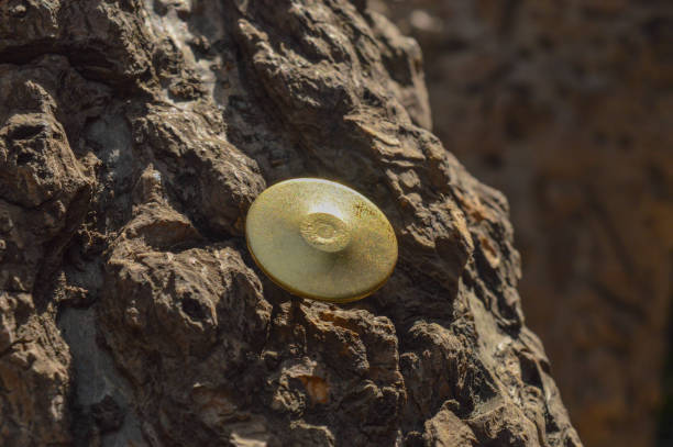 istock A golden push pin clipped on the tree. 1218142845