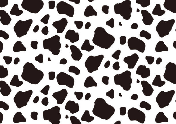 Cow skin print pattern vector graphics Cow skin print pattern vector graphics cattle illustrations stock illustrations