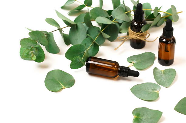 istock Eucalyptus essential oil bottles and leaves isolated top view on white background. copy space. 1218148017