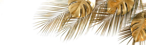 istock Gold palm and monstera leaves plant pattern frame isolated on a white background. top view. copy space. abstract. 1218148227