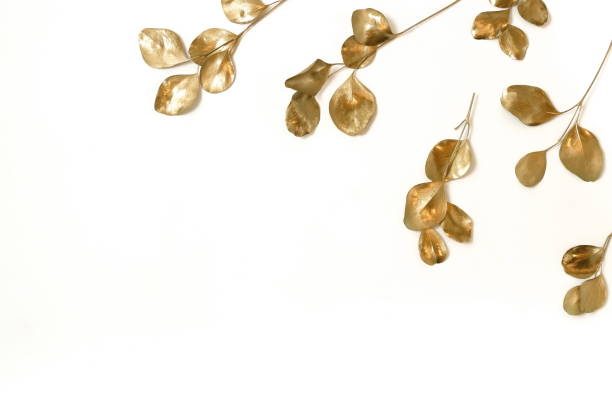 istock Golden eucalyptus leaves frame isolated on white background top view, copy space. Floral card 1218148856