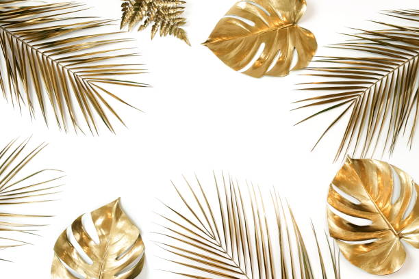 istock Gold palm and monstera leaves plant pattern frame isolated on a white background. top view. copy space. abstract. 1218148924