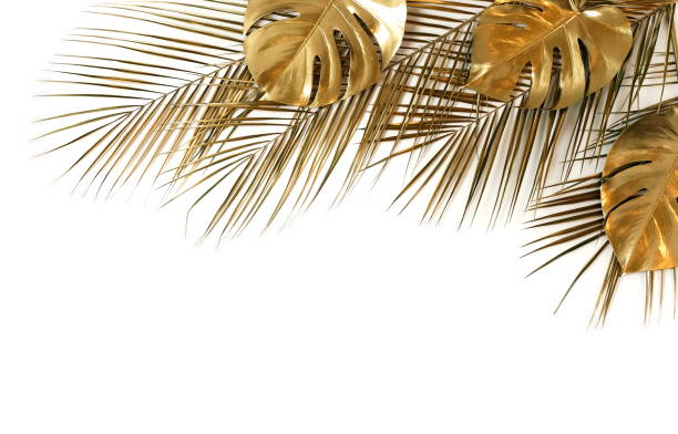 istock Gold palm and monstera leaves plant pattern frame isolated on a white background. top view. copy space. abstract. 1218149373