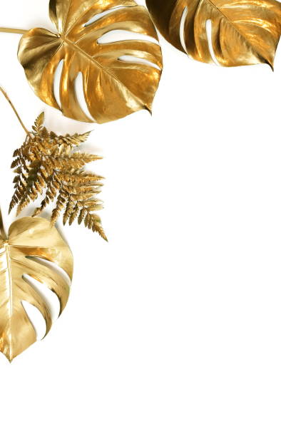 istock Gold monstera leaves plant frame isolated on a white background. top view. copy space. abstract. 1218150138