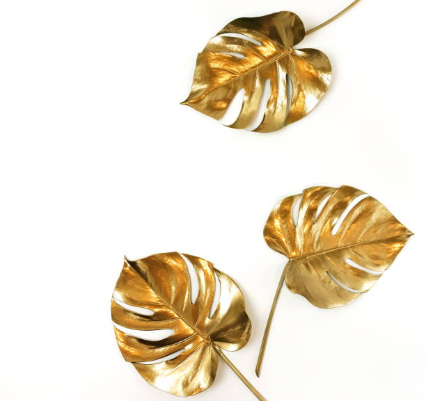 istock Gold monstera leaves plant frame isolated on a white background. top view. copy space. abstract. 1218150416