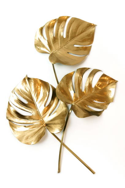 istock Gold monstera leaves plant frame isolated on a white background. top view. copy space. abstract. 1218151077