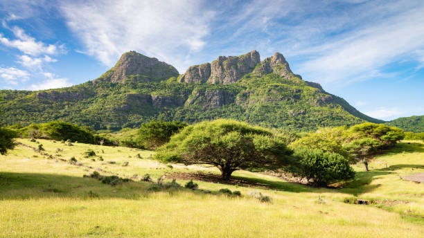 mauritius mount rempart panorama berg der mauer - national grassland stock-fotos und bilder