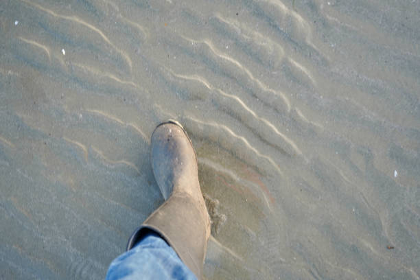 Welly boots standing in sand and water on a beach