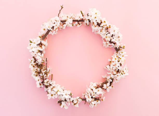 istock Spring wreath of flowers, blooming tree branches, leaves in a circle on a pastel pink background. Advertising content for Birthday, Valentines Day, Womens day. Flat lay, top view, close up, copy space 1218158742