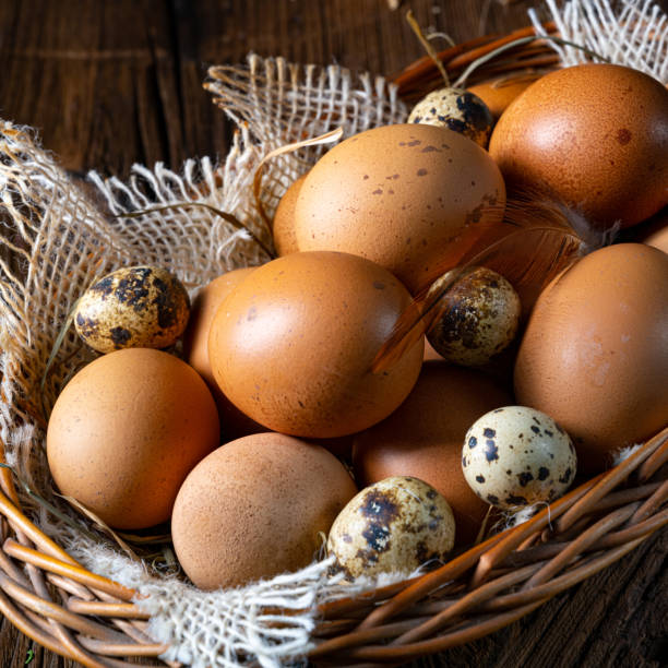 istock Fresh eggs straight from the farm in a basket 1218162320