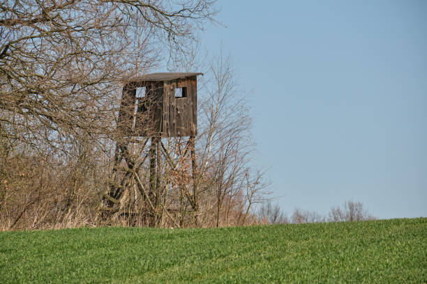 istock Hunting tower near the forest spring weather 1218162441