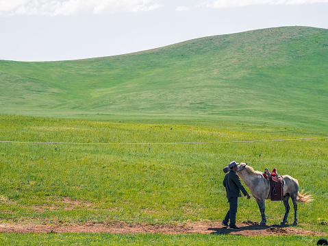 Khustain Nuruu National Park, Mongolia 2nd July 2019: Khustain Nuruu National Park also known as Hustain National Park is a declared protected area and home to the reintroduced Takhi Horse or Przewalski’ Horse.