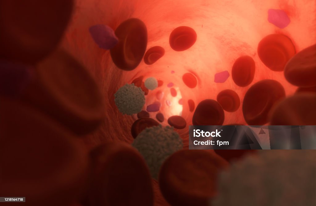 Healthy Blood Plasma with Cells flowing inside a Vein. 3d Illustration Erythrocytes (Red Blood Cells, RBC), Leucocytes (White Blood Cells, WBC) and Thrombocytes (Plateletes) streaming in blood plasma inside a vessel. The small purpleish Plateletes are in their inactivated, compact, shape (as there's nothing to fix right now). Light shining through the skin from above. Photorealistic 3d Illustration, SEM-style. Blood Cell Stock Photo