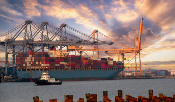 istock Logistics and container loading by large barges by sea in a harbor full of containers waiting to be transported 1218166421