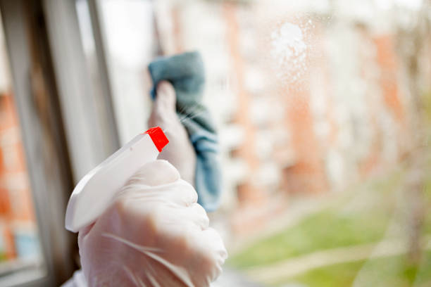 Young woman keeping Windows Clean