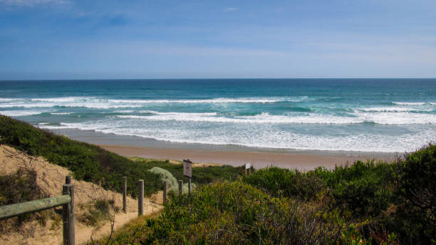 istock Summer time in Australia is usually spent at the beach 1218167759