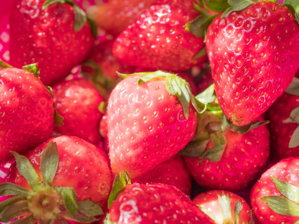istock many red ripe strawberries with green stalks - background 1218168068