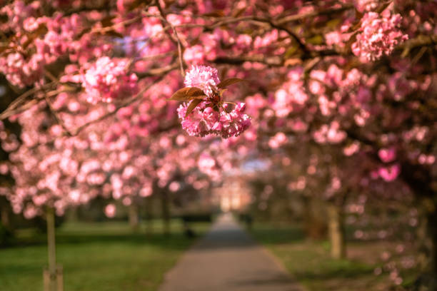 photo taken in Wedding district of Berlin