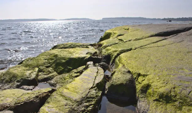 The cliffs of the beach shine green in the sun, Finland