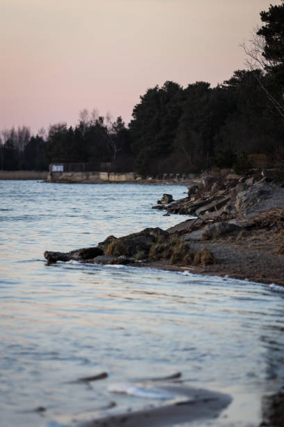 istock Coast line view of shore with many pine tree. 1218188953