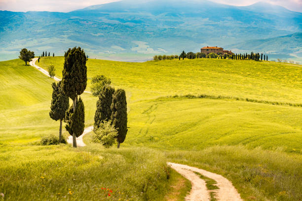 istock Sunny landscape from Val d'Orcia, Tuscany, Italy 1218194515