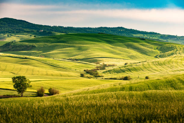 istock Sunny landscape from Val d'Orcia, Tuscany, Italy 1218194545