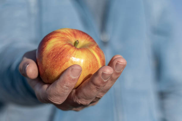 istock Apple in the outstretched palm of a working man. Harvest concept. Selective focus. 1218197312