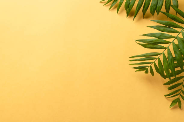 istock palm green leaves on summer yellow background 1218197465