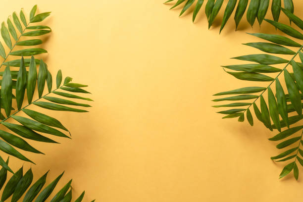 istock Tropical green leaf frame on a yellow background 1218199353