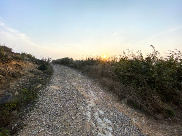 Level Rough Road 360+ Rough Mountain Road Stock Photos, Pictures & Royalty-Free Images ...