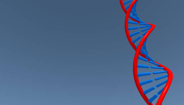 istock Concept of biochemistry with dna molecule 1218201303