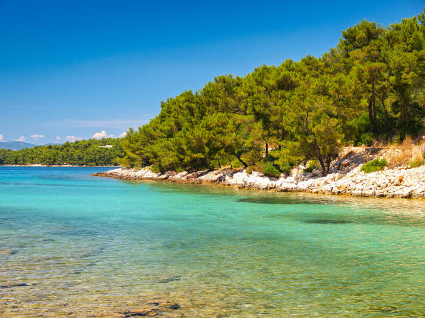 Turquoise Adriatic lagoon stock photo