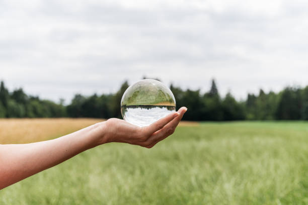 belle nature se reflétant dans la boule de cristal - transparent crystal crystal ball human hand photos et images de collection